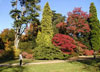 Arboretum Image 1