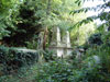 Arboretum Image 2