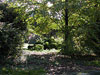 Arboretum Image 3