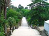 Botanic Garden Image 1