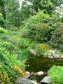 Botanic Garden Image 2