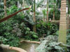 Botanic Garden Image 3