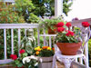 Container Garden Image 1