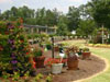 Container Garden Image 2