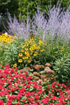 Flower Garden Image 1