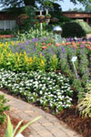 Flower Garden Image 2