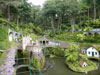 Tropical Garden Image 1