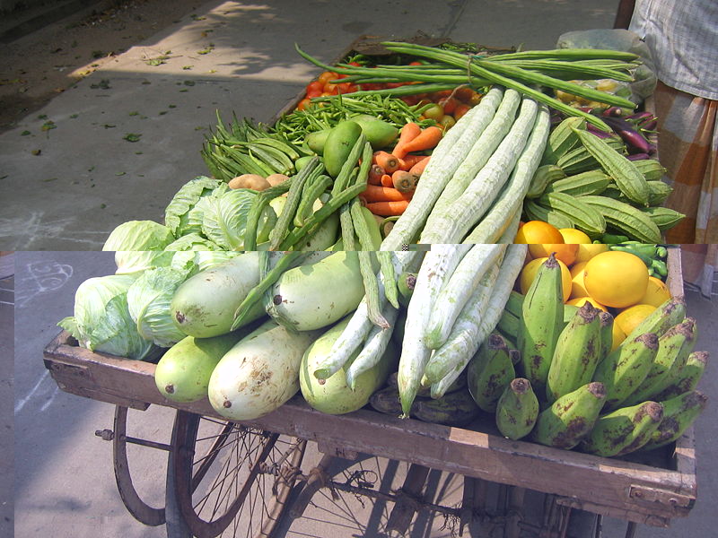 types of vegetables painting